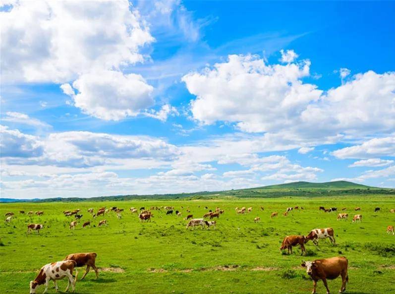 走进内蒙古，感受辽阔壮美风光